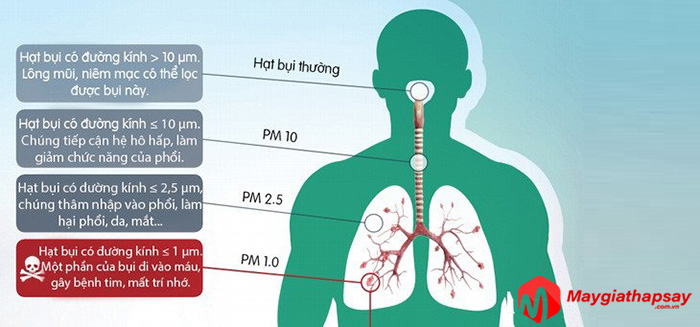 bụi siêu mịn PM2.5 là gì? Tác hại đối với sức khỏe